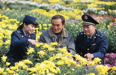 譙城工商積極引導(dǎo)農(nóng)民轉(zhuǎn)型，花木種植經(jīng)營成致富新路徑